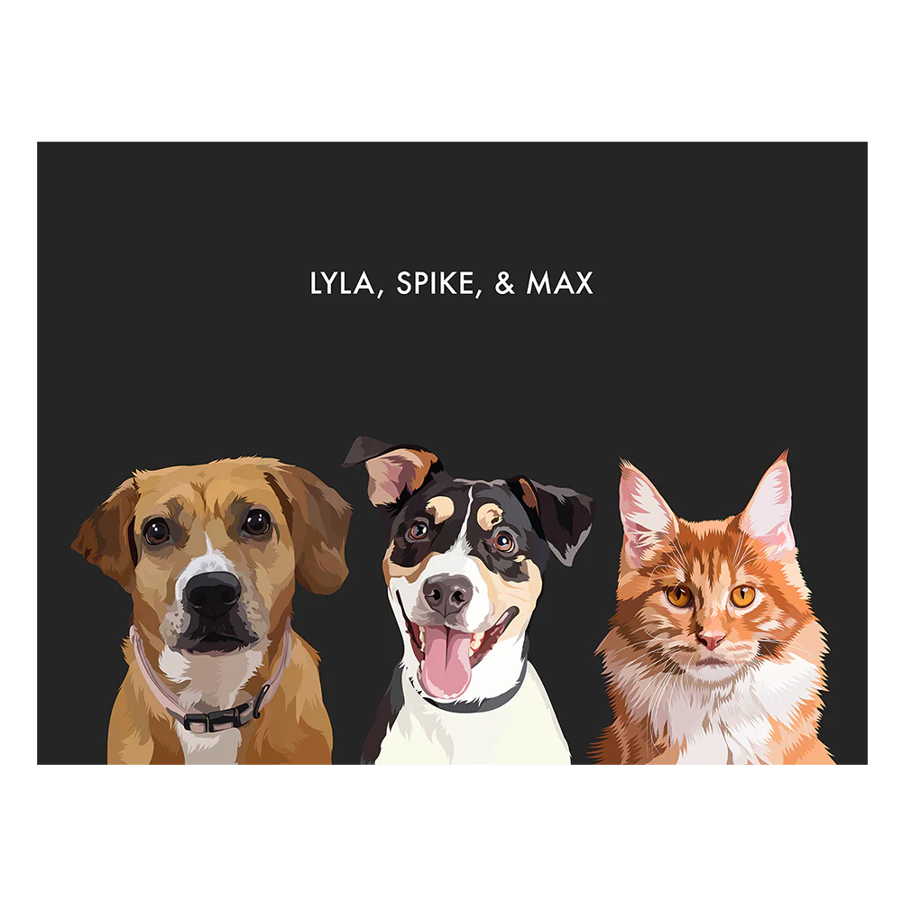 Thumbnail 43